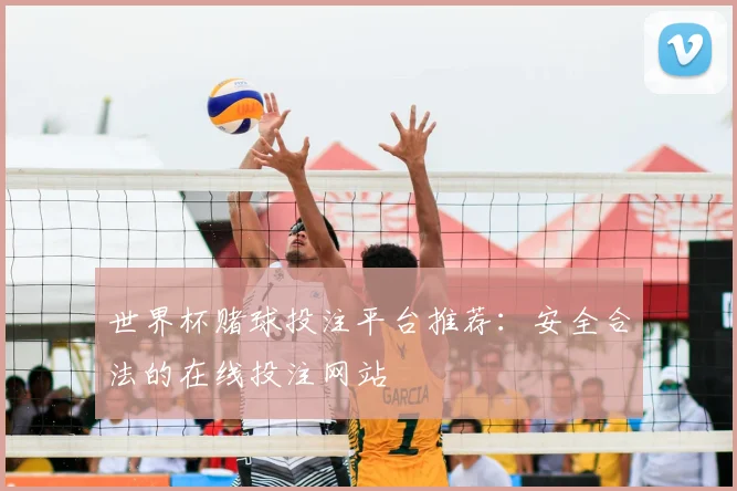 世界杯赌球投注平台推荐：安全合法的在线投注网站