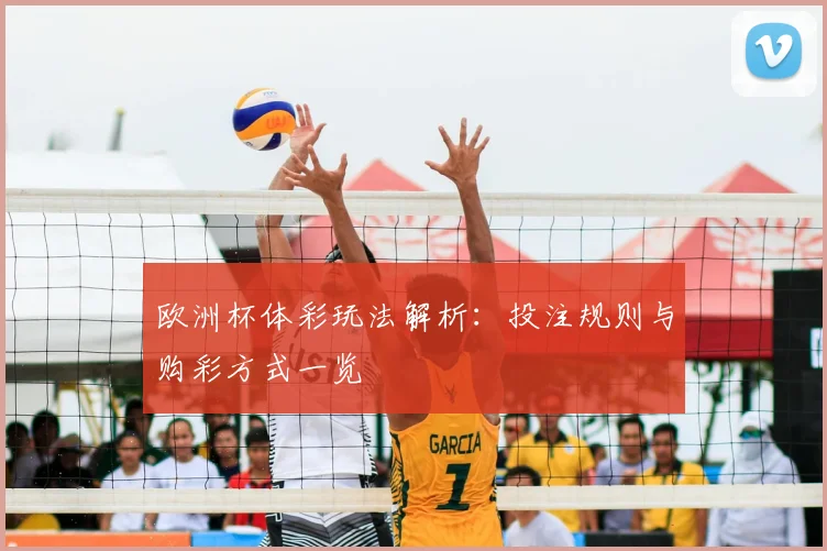 欧洲杯体彩玩法解析：投注规则与购彩方式一览