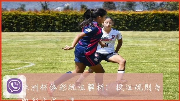欧洲杯体彩玩法解析：投注规则与购彩方式一览