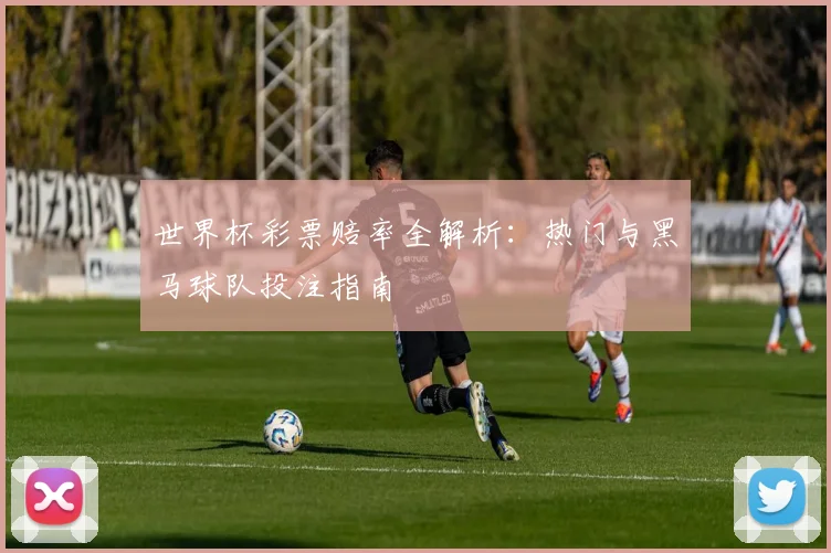 世界杯彩票赔率全解析：热门与黑马球队投注指南