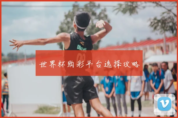 世界杯购彩平台选择攻略