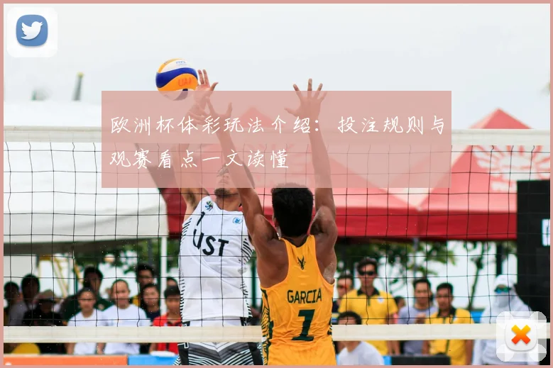 欧洲杯体彩玩法介绍：投注规则与观赛看点一文读懂
