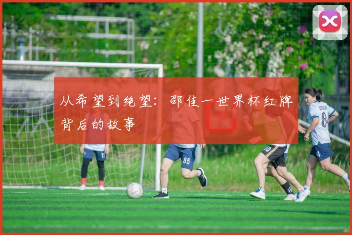 从希望到绝望：邵佳一世界杯红牌背后的故事