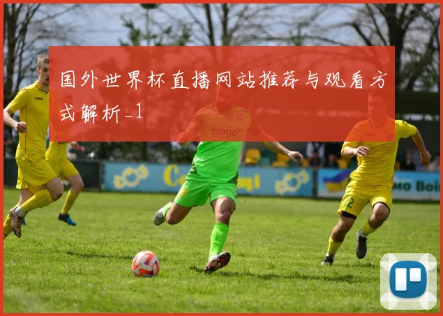 国外世界杯直播网站推荐与观看方式解析_1