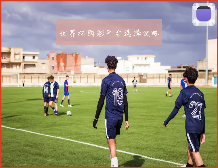 世界杯购彩平台选择攻略