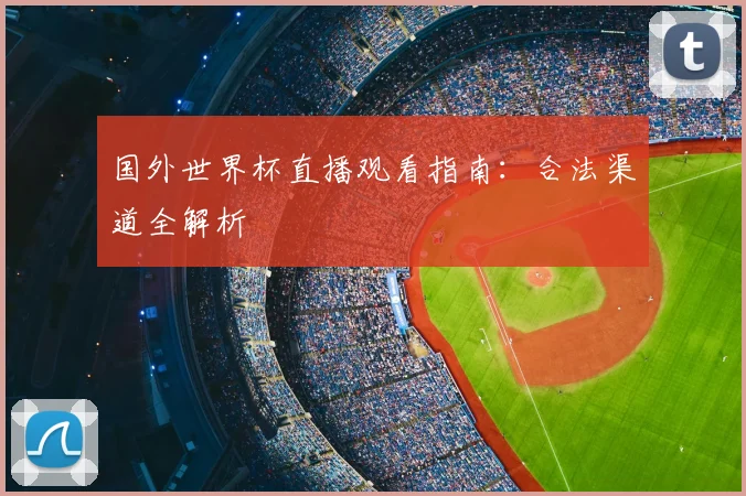 国外世界杯直播观看指南：合法渠道全解析
