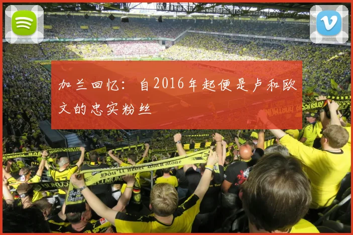 加兰回忆：自2016年起便是卢和欧文的忠实粉丝