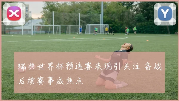 瑞典世界杯预选赛表现引关注 备战后续赛事成焦点