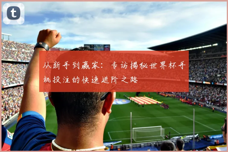 从新手到赢家：专访揭秘世界杯手机投注的快速进阶之路