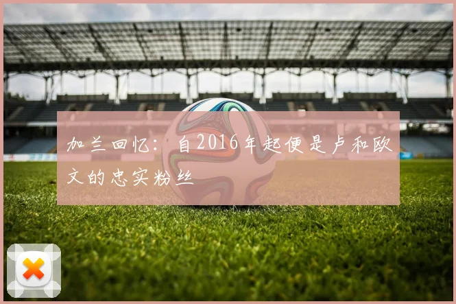 加兰回忆:自2016年起便是卢和欧文的忠实粉丝