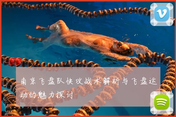 南京飞盘队快攻战术解析与飞盘运动的魅力探讨